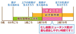 十日町デンタルクリニックはお子様のお口にフッ素塗布やシーラントなどの予防処置を行い、健康なお口づくりをサポートします。